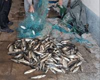 دستگیری شش صیاد متخلف در شاهین‌دژ