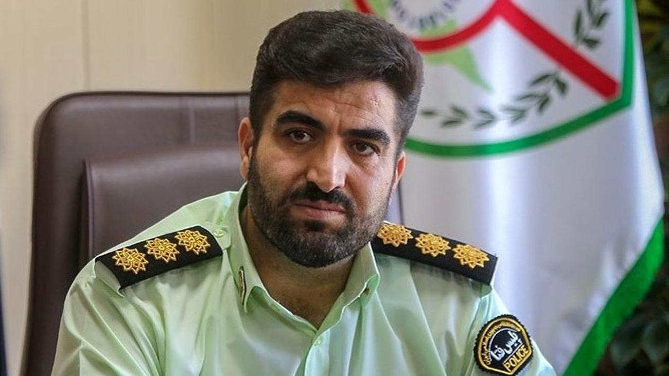 همسر سابق بازیگر سینما با پول کمک به حیوانات ماشین خرید