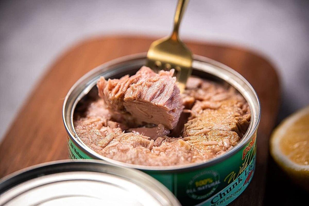 کم‌خطرترین گزینه در میان کنسروهای ماهی؛ گزارشی از یک آزمایشگاه معتبر/ ماهی‌های بزرگ‌تر، خطرناک‌تر!
