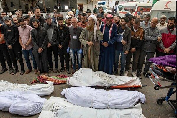 شهادت ۷ فلسطینی در نتیجه قحطی و ۴۷ نفر در اثر حمله صهیونیست ها