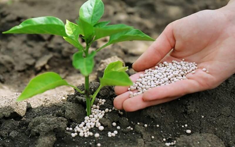 توزیع ۴۰ هزار تن کود یارانه‌ای برای حمایت از باغات گلستان