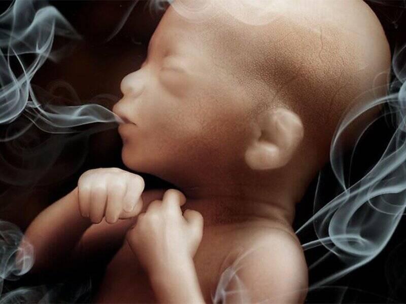 میراث دود سیگار برای نسل آینده